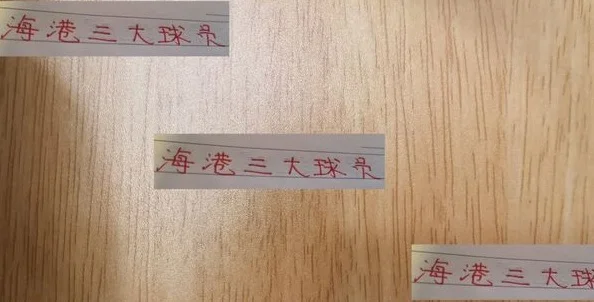 生死战！海港的三大球员蒋光太 颜骏凌 魏震 谁能上