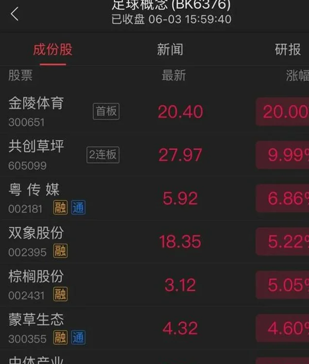 职业球员仅3人却火遍全国！这场 '半业余' 足球赛凭啥让A股涨停？相关图七