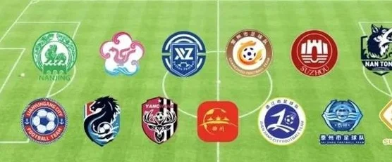 工人日报e网评丨“苏超”：始于足球而远不止于足球相关图二
