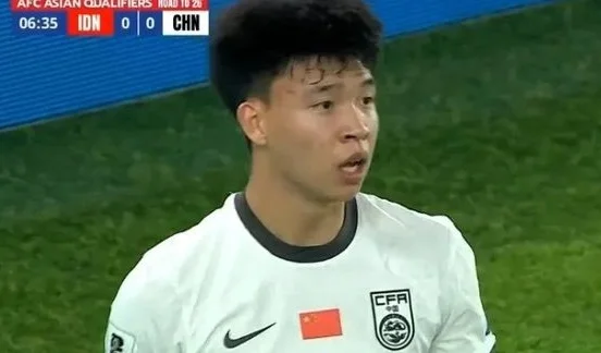 国足为何输印尼？范志毅点评一针见血，黄健翔认同，球迷期盼2030相关图五