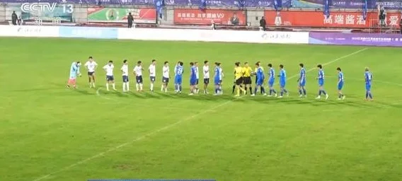 “输了水蜜桃加盐，赢了盐水鸭加糖” 火出圈的“苏超”还有这些相关图三