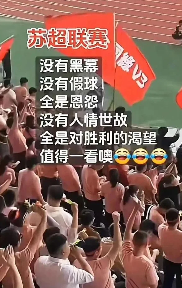 散装”江苏，何以成就超燃“苏超”相关图二