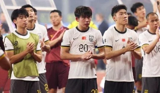世界杯提前梦断 国足大换血势在必行 6老将彻底退出 大批新星上位