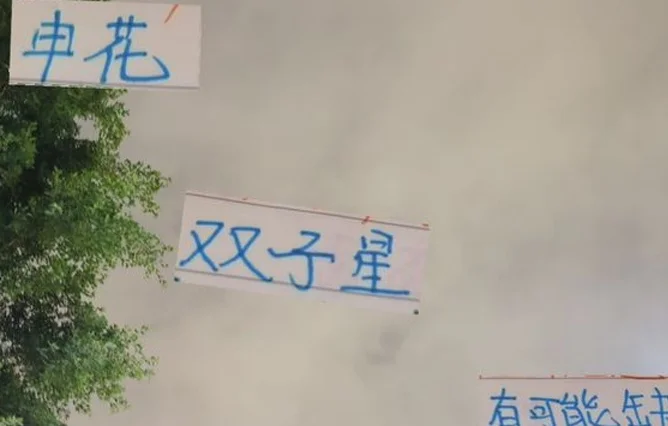最坏打算！申花双子星可能 缺席跟深圳之战！海港缩小差距好时候