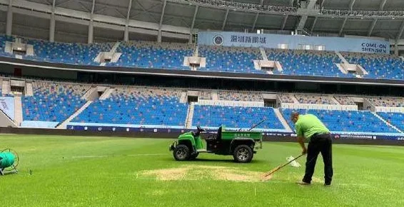 记者：深体草坪修复完成，已符合中超联赛办赛标准