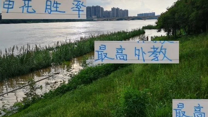 想不到！前俄国家队教练 在申花胜率最高的 就差个联赛冠军