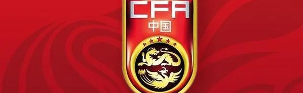 球迷态度：国足世预赛8个主场暂2胜1平4负，你出征了几次？