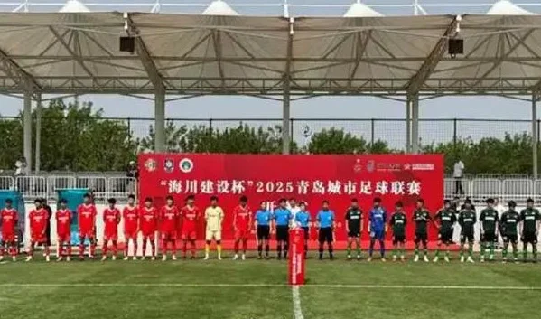 记者谈山东为何不能复刻“苏超”：山东足球好“梗”难产相关图三