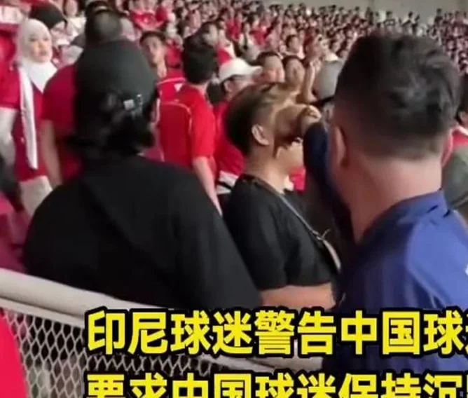 无缘世界杯后，韩国和印尼对国足评价，印尼要求中国球迷保持沉默相关图二