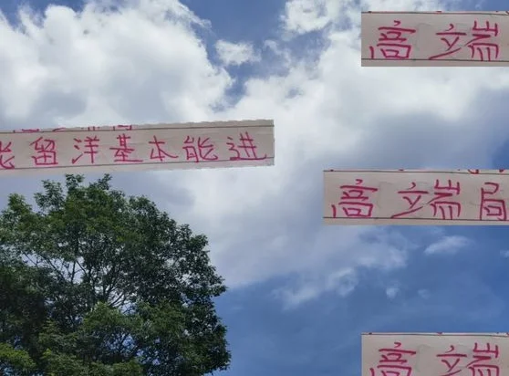 能出去留洋上场 基本能进国家队 北京国安有张玉宁 申花有高天意
