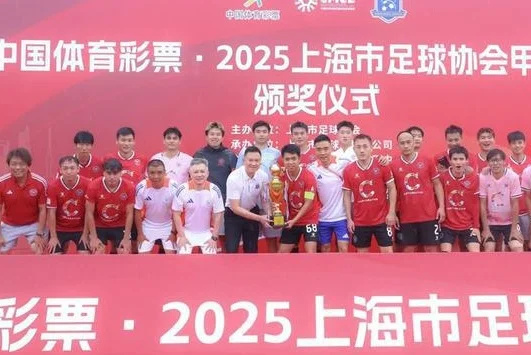 2025上甲联赛落幕 沪上顶级社会足球赛事展现独特魅力相关图三