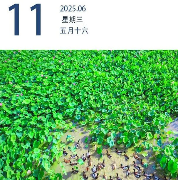 广东队获得十五运会U16女足赛亚军｜早安广东