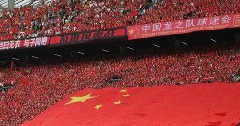 4年的等待终于有了结果，以不垫底收官，祝贺国足相关图三