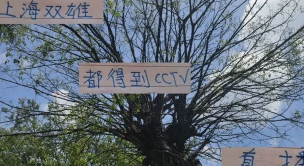 中超第14轮 海港+申花终于得到CCTV直播 再加上马莱莱大连