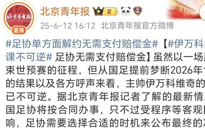 下午16点！京媒曝国足换帅新消息，伊万触发下课条款，宋凯不留手相关图二