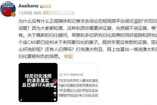 辟谣！0-1印尼作废替补进附加赛？权威人士解读，真相大白相关图三