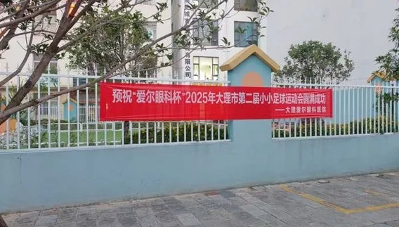 爱尔眼科杯｜2025年大理市第二届小小足球运动会活力开赛相关图六