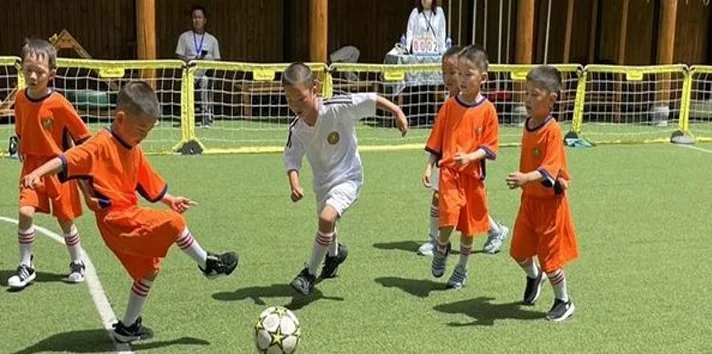 爱尔眼科杯｜2025年大理市第二届小小足球运动会活力开赛相关图五