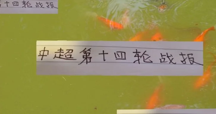 没想到！中超第14轮 申花跟海港有央视直播加持下 都没有赢球