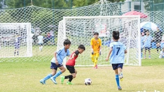 “燃”值爆表，2025年江苏“省长杯”小学男子乙组决赛在南通如东落下帷幕相关图二