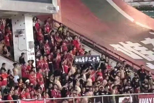 河南队官方谴责成都球迷：辱骂挑衅+侮辱胡葆！严重亵渎河南人民相关图三