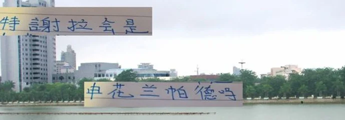 打深圳 是赔了夫人又折兵 这就看到申花兰帕德 特谢拉作用