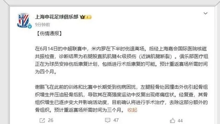 突发，申花遭双重打击，冲冠难了！核心外援重伤，中超格局或大变相关图四