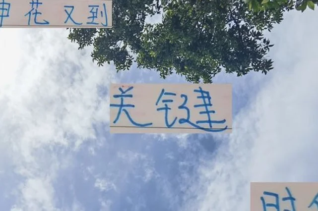 北京国安神锋喊苏亚雷斯为足球爸爸 那谁能成为申花爸爸