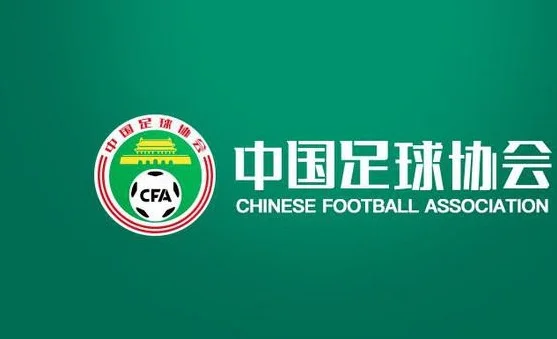 记者：足协用元老当选帅顾问没啥用，应引进技术总监架构蓝图