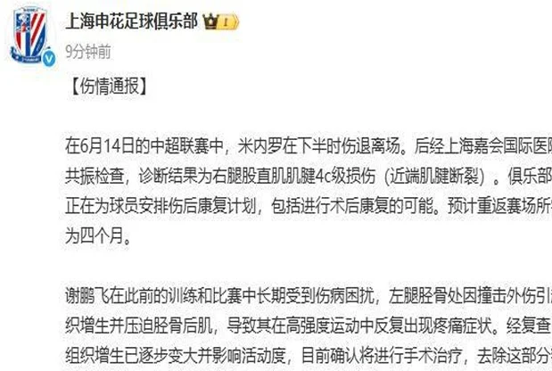 申花争冠遇打击：米内罗肌腱断裂伤缺4个月，球迷要求换外援！相关图二