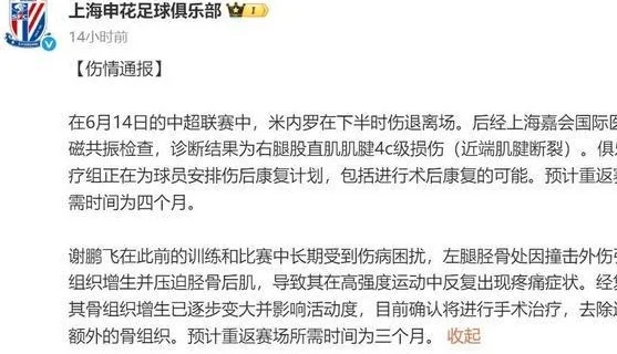 米内罗、谢鹏飞伤停数月，申花夏窗将补强锋线相关图二
