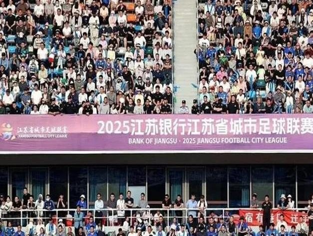 前国脚徐亮：国足球员500万挣得少，成绩差与薪资没直接因果关系相关图四