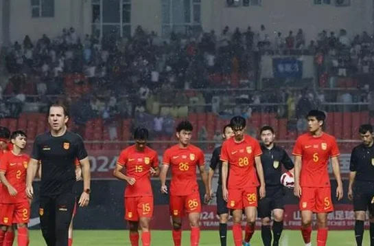 国足临时主帅定了！58岁塞尔维亚名帅救火，郑智高洪波无缘相关图四