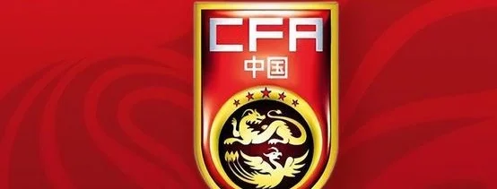 不是久尔杰维奇 资深名记曝国足选帅最新进展 郑智依旧是最大热门