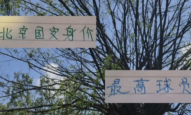 没想到！古加成北京国安身价最高球员 他能成为海港奥斯卡吗