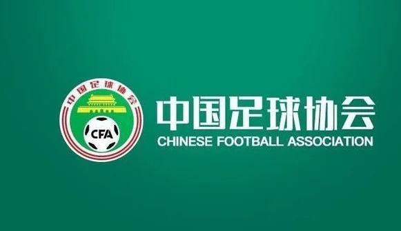 裁判评议：浙江绝平海港进球被取消为错判；海牛萨里奇蹬踹应被罚下