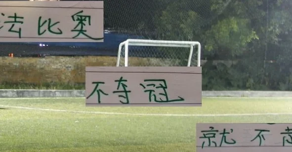 法比奥曾说不夺冠就不走 万一今年北京国安夺冠 他是走还是留