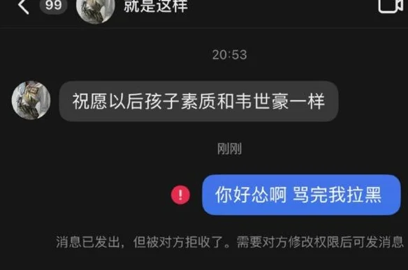 网友私信“祝你孩子和他爸爸素质一样”，韦世豪妻子：你咋骂人呢相关图三